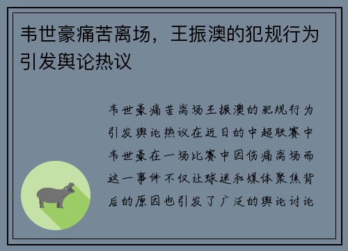 韦世豪痛苦离场，王振澳的犯规行为引发舆论热议