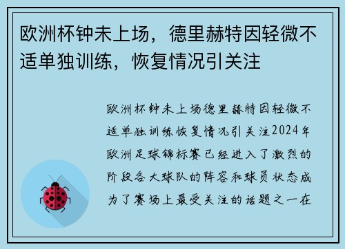 欧洲杯钟未上场，德里赫特因轻微不适单独训练，恢复情况引关注